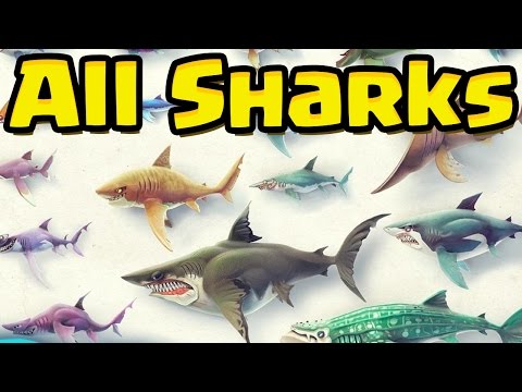 ALL SHARKS UNLOCKED - Hungry Shark World (HSW) - EPIC GAMEPLAY OF EVERY SHARK!