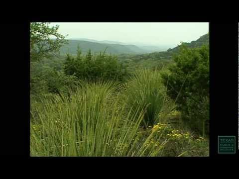 Hill Country State Natural Area - Texas Parks and Wildlife [Official]