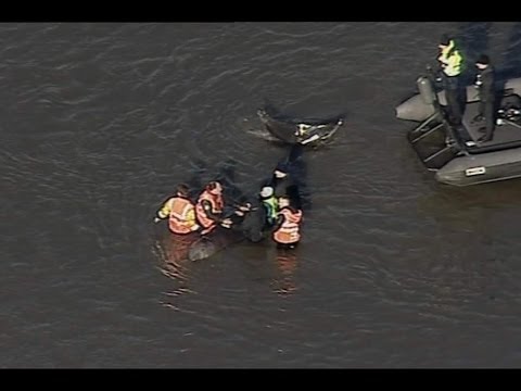 From The Sky News Vault: Whale In The Thames