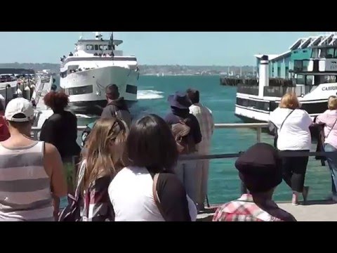 Whale Watching Boat Crashing Into San Diego Dock