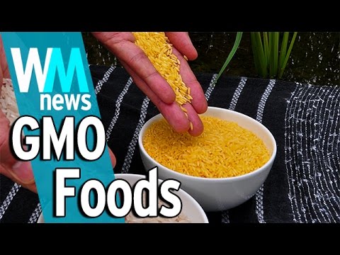 10 Genetically Modified Food Facts - WMNews Ep. 27