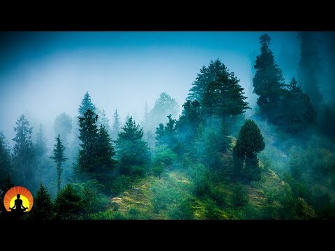 3 Hour Zen Meditation Music: Nature Sounds, Relaxing Music, Calming Music, Healing Music ✿071C