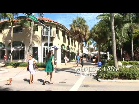 University of Miami School of Law: Let Us Take You to the Next Level