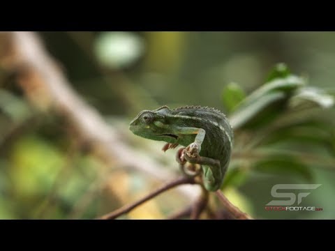 4k UHD Sample footage Demo (Ultra HD)