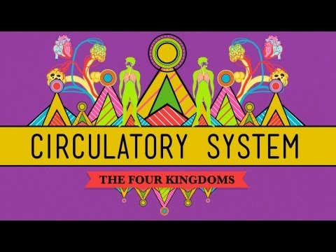 Circulatory & Respiratory Systems - CrashCourse Biology #27