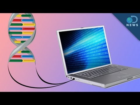 Using Your DNA as a Hard Drive