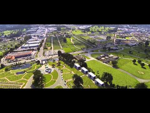 the city of the silent | Colma, CA