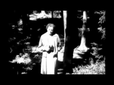 Pesticides - DDT - Rachel Carson - Silent Spring