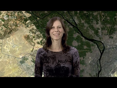 Earth from Space: Nile Delta fertility