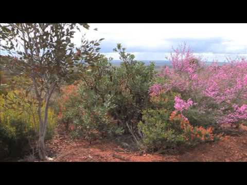 Remote and Rugged - Part 1 of a documentary about the south-coast of Western Australia