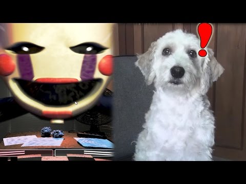 CURLY JUEGA Five Nights at Freddy's 2 | Fernanfloo