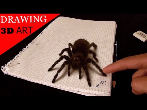 3D Spider Drawing/AMAZING realistic illusion!