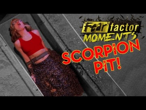 Fear Factor Moments | Scorpion Pit