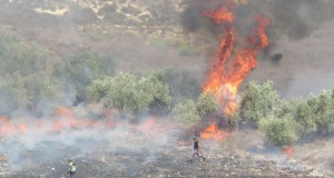 Palestinian civil workers attempt to put out fires while fire truck prohibited entry