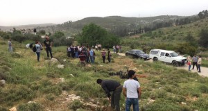 Local villagers planting trees.