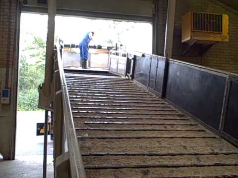 Berdex Livestock Loading Ramp