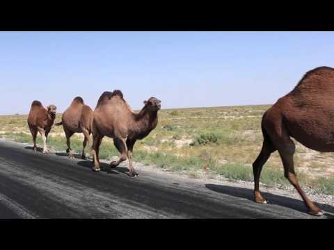 Kazakhstan, the country of the great steppe.