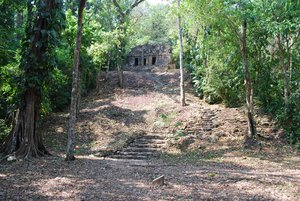 View of Building 30 in the jungle at Yaxchilan. The jungle is also home to some of Mexico’s most numerous and impression archaeological sites, all of which belong to the Mayan civilization.