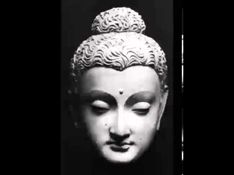 Rebirth and Kamma, Lecture by Bhikkhu Bodhi, Dhamma, Karma, Dharma, Buddhism