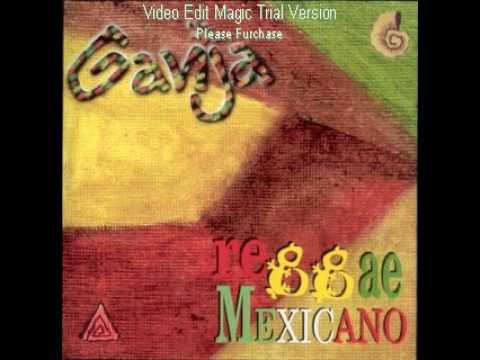 ganja-caminando