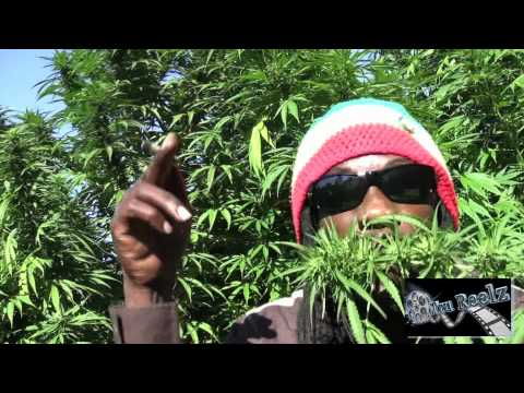 Marlon Asher - Ganja Cowboy [OFFICIAL VIDEO] By TRU REELZ PROD.