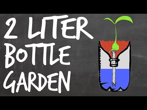 2 Liter Bottle Hydroponics Tutorial by Epic Gardening