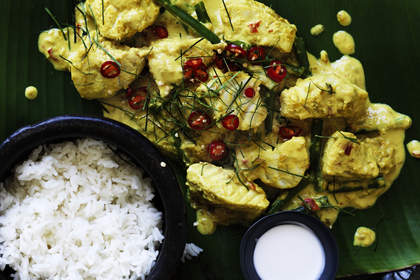 Amok-style ling, green bean and spinach curry.