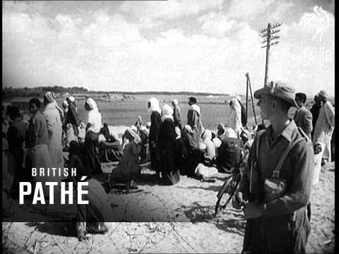 Pathe News Reviews 1951 (1951)