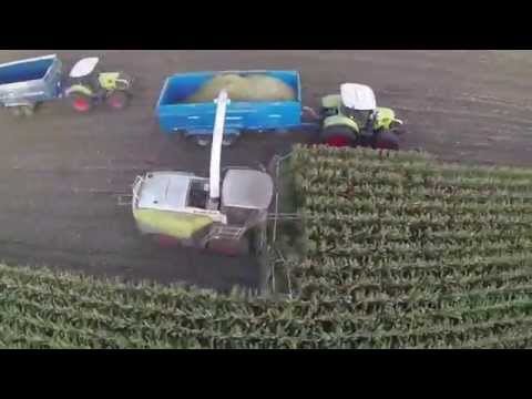 Old Manor Farm Maize Harvest 2014