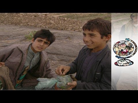 Drug Nation: Yemen's Qat Addiction