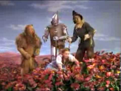 The Wizard of Oz - poppies