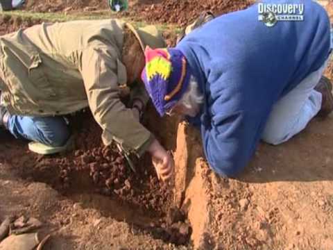 Time Team S10-E12 Sedgefield,.County.Durham