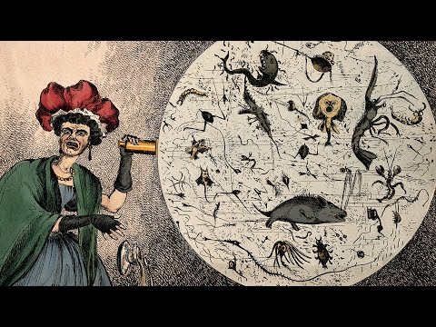 Germs, Genes and Genesis: The History of Infectious Disease - Professor Steve Jones