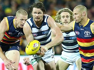 Crows v Geelong AFL match at Adelaide Oval.