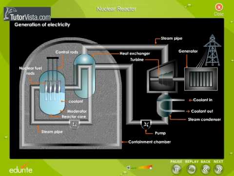 Nuclear Reactor