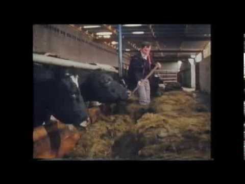 Farming in County Monaghan 1985