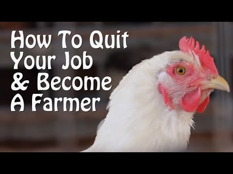 Quit Your Job and Become a Farmer. 7 Small Farm Ideas, from Organic Farming to Chickens & Goats.