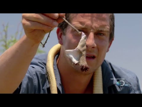 Man vs Wild with Bear Grylls S04E04 - Texas