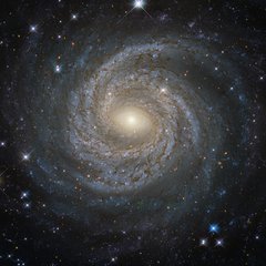 Together with irregular galaxies, spiral galaxies make up approximately 60 percent of the galaxies in the local universe. However, despite their prevalence, each spiral galaxy is unique — like snowflakes, no two are alike.