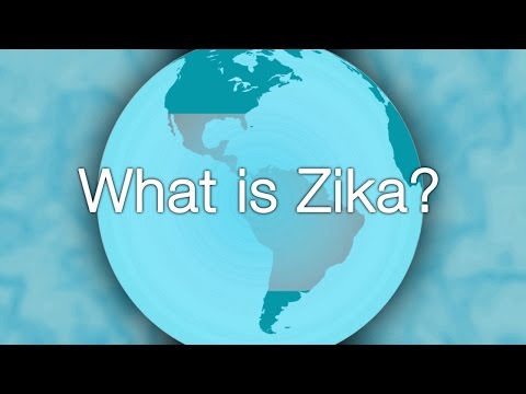 Zika Virus 101