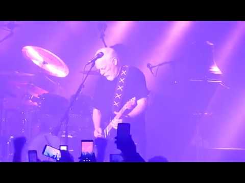 David Gilmour - Comfortably Numb (featuring Purple Rain)