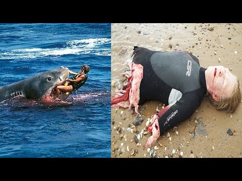 Top 5 Horrific Shark Attack Footage Caught On Tape 2016