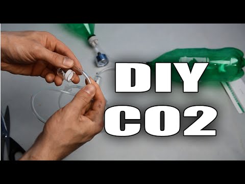 HOW TO: DIY CO2 system for aquarium plants TUTORIAL