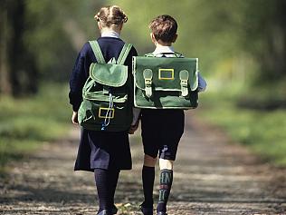 Generic image of rear view of young girl and boy walking along dirt track through a forest on their way to school.