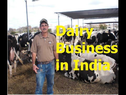 How to Start a Dairy Farm Business in India