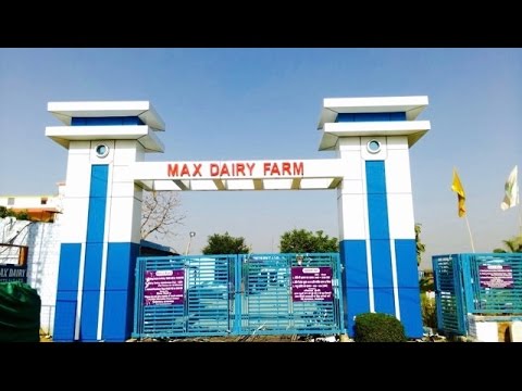 Max Dairy Farm, Palwal (INDIA)