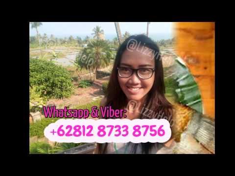 +6281287338756 Manado Tour Guide & Travel Budget For Family