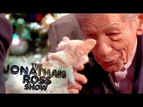 Sir Ian McKellen Meets Chihuahua Puppy - The Jonathan Ross Show