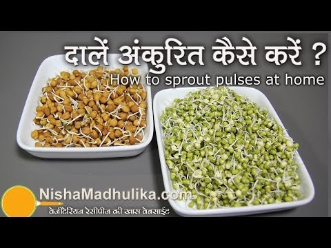 How to Sprout pulses at home ? - Sprouting Seeds, Grain and Pulses