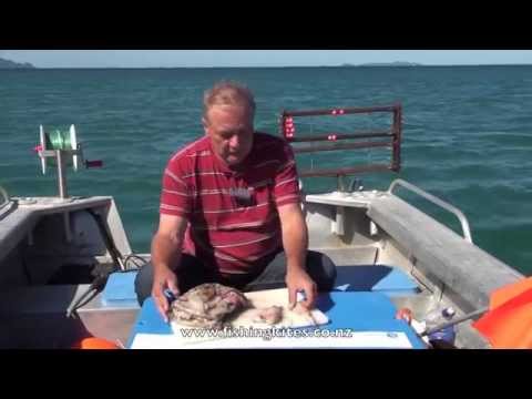 Snapper Longline Fishing Methods